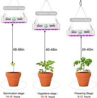 Lampe de culture LED à spectre complet 1000W, double puce, CRI 80 élevé, favorisant la floraison, efficacité 120lm/W pour plantes commerciales d'intérieur
