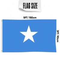 Drapeaux de Somalie en gros 3x5 pieds, polyester 68D/100D, personnalisation de tous les pays, expédition rapide, fournisseur fiable, livraison rapide