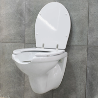 WC public à ouverture frontale, toilettes courbées, bidet commercial pour personnes âgées, toilettes de thérapie hydrosanitaire suspendues, ergonomiques
