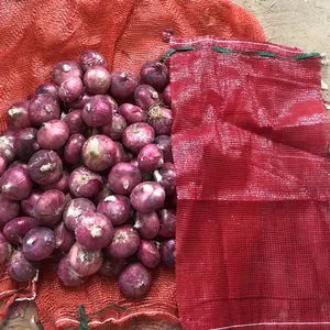 Cebolas frescas cebola vermelha escura fornecimento vermelho roxo da fazenda cebola chinesa