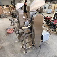 Commerciële Sinaasappelsap Makende Machine Citroensap Extraheren Machine Om Fruitsap Automatisch Te Maken