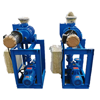 Pompe à vide annulaire à eau BOYUAN PUMP ZJP-70 + 2BV5110 Roots personnalisée pour le client - Ensemble avec armoire de commande