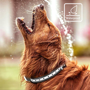 A mazon Vendedor superior Impermeable Recargable 1000 pies Sin choque Collar de entrenamiento para perros remoto - Product Image 4