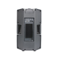 Haut-parleur actif 2 voies de 15 pouces, classe D, 500 W RMS, 1000 W de crête, en plastique, pour mariages, conférences et événements en direct en extérieur