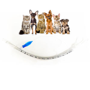 ท่อช่วยหายใจ PVC เกรดทางการแพทย์ท่อขยายหลอดลมในช่องปากสำหรับสัตวแพทย์ - Product Image 2