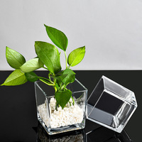 Vase carré Transparent minimaliste de haute qualité pot de bougie verrerie de plantes succulentes