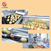 Fruit Sorteermachine Apple Grading Lijn Automatische Groente-en Reinigingsmachine En Sorteren Machine