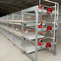 Vente Flash : Poulailler Galvanisé pour Élevage Avicole, Cage à Poulets de Chair Type H avec Système d'Alimentation Automatique pour 10 000 Poulets