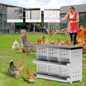 กล่องรัง<span class=keywords><strong>ไก่</strong></span>6ช่องสำหรับ<span class=keywords><strong>เล้า</strong></span><span class=keywords><strong>ไก่</strong></span> - Product Image 5