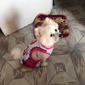 Ropa para Mascotas, Camiseta Deportiva de Baloncesto sin Mangas, Ecológica, de Poliéster, Refrescante para Verano, para Perros Grandes, Talla 6XL - Product Image 6