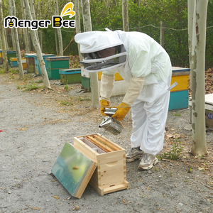 ไม้ไมโครควีนผสมพันธุ์ NUC Honey Bee NUC Hive - Product Image 3