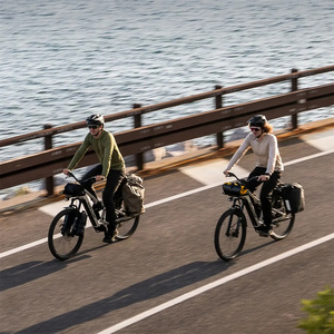 Cuadro de carbono Amflow TL Carbon, amortiguador trasero <span class=keywords><strong>FOX</strong></span> FLOAT Rhythm, horquilla delantera <span class=keywords><strong>FOX</strong></span> AWL Sport con suspensión LSR Amflow TL tuning para bicicleta de montaña eléctrica. - Product Image 4