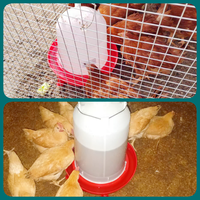 Abreuvoir automatique pour volailles de 3 L, en plastique, avec pieds, pour poussins, canards, rouge