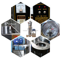 Presse à huile hydraulique automatique en acier inoxydable, machine de pressage à froid et à chaud 380V 60 Kg/H pour olive, soja, noix, sésame