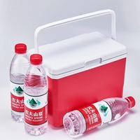 Glacière isotherme de camping 3L 5L de haute qualité à bas prix en PP pour pique-niques en extérieur et canettes
