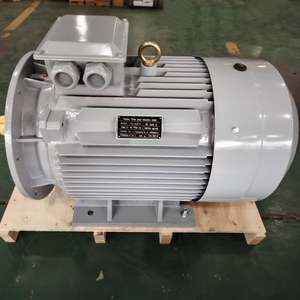 Moteur à couple élevé robuste YE4-355M2-2 250 kW 340 CV Tension/RPM/Fréquence personnalisables pour les équipements miniers et les pompes - Product Image 5