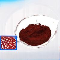 Poudre de Rhodymenia palmata dulse séchée organique naturelle de haute qualité d'origine océan Atlantique de qualité alimentaire vente en gros paquet OEM