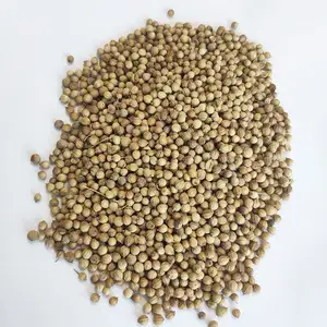 ZZH Spices Supplier Wholesales Coriander Seeds Brazil Coriander Premium Quality Coriand Seed