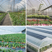 Film plastique transparent pour tunnel agricole à faible coût, film de serre en PE, film ETFE pour couverture hivernale