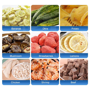 Máy sấy thăng hoa chân không công nghiệp dùng cho trái cây - Product Image 6