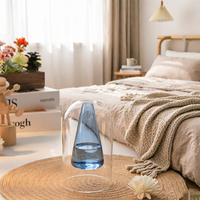 Bouteille en verre double paroi de forme spéciale pour diffuseur à bâtonnets, flacon vide pour huile parfumée, parfum d'ambiance intérieur