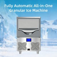 Machine à glace granulaire modulaire 100 kg, machine à glace en flocons automatique commerciale, machine à glace en flocons pour les entreprises