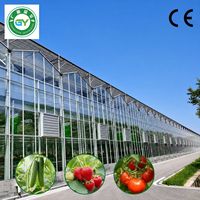 Serre agricole commerciale multi-chapelles en verre avec système hydroponique pour la culture de légumes, durée de vie de 20 à 30 ans