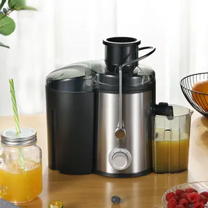 Beste Juicer Met Hoge Goede Kwaliteit Sapcentrifuge Voor Huishoudelijke