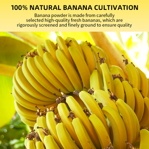 Pó de Fruta de <span class=keywords><strong>Banana</strong></span> Orgânico Grau Alimentício EU/NOP Melhor Preço Pó de Suco Sabor <span class=keywords><strong>Banana</strong></span> Pó de <span class=keywords><strong>Banana</strong></span> Orgânico - Product Image 4