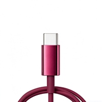Écouteurs filaires Chrome Type C en métal argenté, intra-auriculaires, plaqués argent