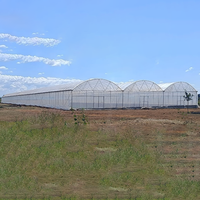 Serre-serre agricole en acier serre à armature métallique poly tunnel fournitures pour serre