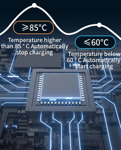 Cargador para Byd Song Plus Ev de la Marca Hongsound con Mayor Potencia de 10 kw y Corriente de Salida de 48A - Product Image 5