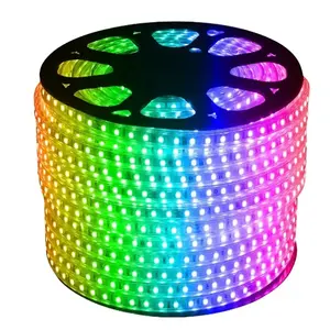 5v ws2812b Ir Control Wasserdichte Smd LED-Licht leisten Luces Led Smart Flexible Rgbic Strip Lights