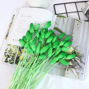AYOYO - Flores Secas Decorativas al por Mayor para el Hogar, Bodas y Fiestas, 50 Piezas por Ramo, Hierba <span class=keywords><strong>de</strong></span> Joyas, Phalaris - Product Image 6