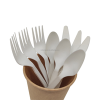 Ensemble de couverts en CPLA certifié BPI, couteau, fourchette et cuillère compostables, résistants à la chaleur, jetables, à base de plantes, vente en gros