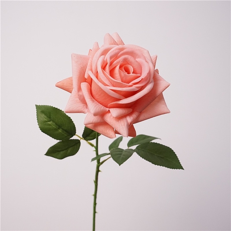 rose foncé