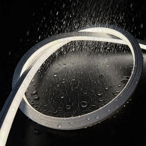 Striscia LED Flessibile Impermeabile in Silicone DC 12V/24V per Esterni IP65 SMD2835 120 LED/m 5m Nastro Luminoso a LED per Paesaggistica - Product Image 2