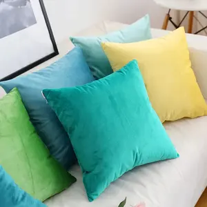 Cozy Throw Pillow Wholesale Custom Sofa Throw Luxury Pillowcases Pillow Velvet Cushion Cover Case