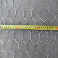 Filet en acier galvanisé revêtu de PVC hexagonal à armure simple tissé pour volailles et oiseaux, découpe/soudage pour l'agriculture, fabriqué dans le comté d'Anping
