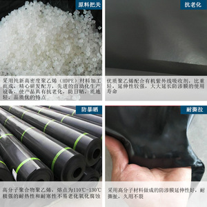 Geomembrane Black Plastic Film Roll For Fish Ponds Aquaculture Waterproofing Water Storage Tank Lotus Pond Use - Product Image 3