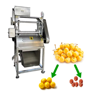 Machine à dénoyaouter et à écaler les cerises électrique commerciale - NEUVE 1,5 kW Capacité 250-500 kg/h Équipement de transformation alimentaire pour usage en restaurant - Product Image 1