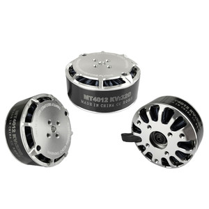 Motor sin Escobillas Tarot Martin 4012 320KV 6S/Motor de Alta Eficiencia y Larga Duración para Multirrotor, 580W de Potencia, TL40P12, Hélice de 16-19 Pulgadas - Product Image 2