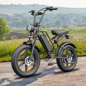 Bicicleta Eléctrica de 20 Pulgadas y 7 Velocidades con Pantalla LCD para Adultos, Tres Marchas Ajustables, Frenos de Disco, Modelo E500, Cuadro de Acero de Alto Carbono, Precio al por Mayor - Product Image 3