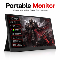 Moniteur LED IPS FHD 15,6 pouces personnalisé OEM Great Asia pour entreprise, multimédia, haut-parleurs intégrés, lecteur USB, portable sans fil