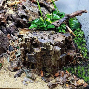 Bois flotté naturel pour aquarium, décoration moderne d'aquarium Reptile cacher des branches de bois, ornements aquatiques de décoration intérieure pour le salon - Product Image 6