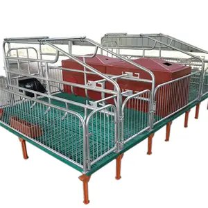 Factory Price Wholesales Galvanized Steel Sow Farm Elevated Farrowing Pen