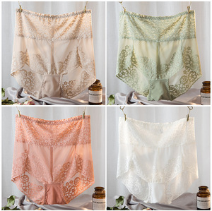 Ropa interior bragas <span class=keywords><strong>de</strong></span> talla grande para <span class=keywords><strong>mujer</strong></span> <span class=keywords><strong>con</strong></span> encaje <span class=keywords><strong>de</strong></span> malla floral bordado <span class=keywords><strong>de</strong></span> tiro alto - Product Image 5