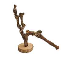 Perchoir à griffes en écorce de vigne naturelle pour perroquets, support durable pour le nettoyage des griffes, avec base, pour calopsites, perruches, décoration de cage