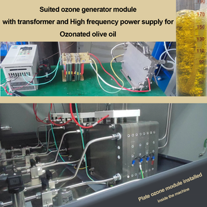 ओजोन जनरेटर मॉड्यूल ओजोन जनरेटर प्लेट 1 किलो/घंटा ओजोन जनरेटर - Product Image 3
