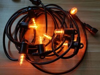 Belles guirlandes lumineuses étanches extérieures IP65 LED blanc chaud E14 ampoules pour la maison et le jardin décoration de feston de noël